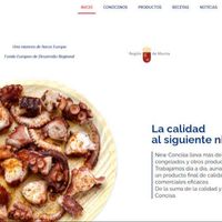 newconcisa